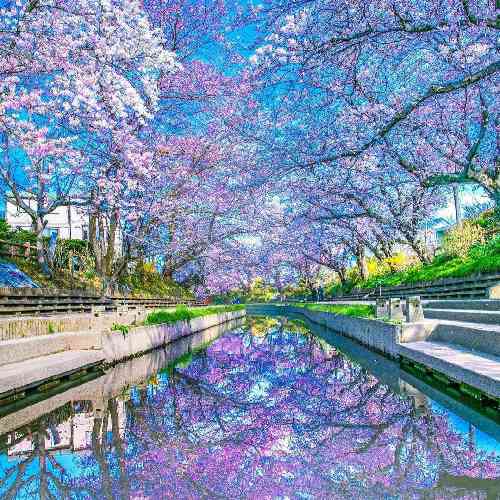  آهنگ تیتراژ پایانی سریال مه زرا